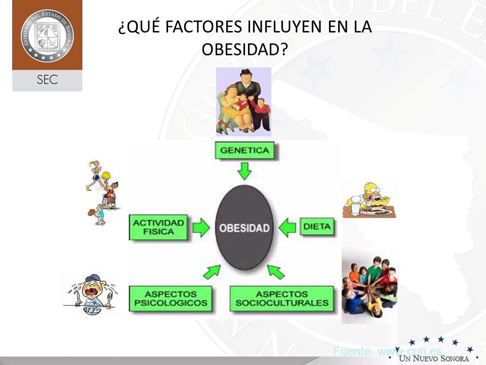 En los que obesidad factores la influyen son cuales